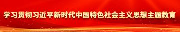 老太太阴帝自慰视屏学习贯彻习近平新时代中国特色社会主义思想主题教育