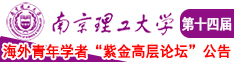 大吊插美女b在线播放南京理工大学第十四届海外青年学者紫金论坛诚邀海内外英才！